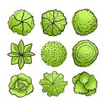 绿植手绘素材