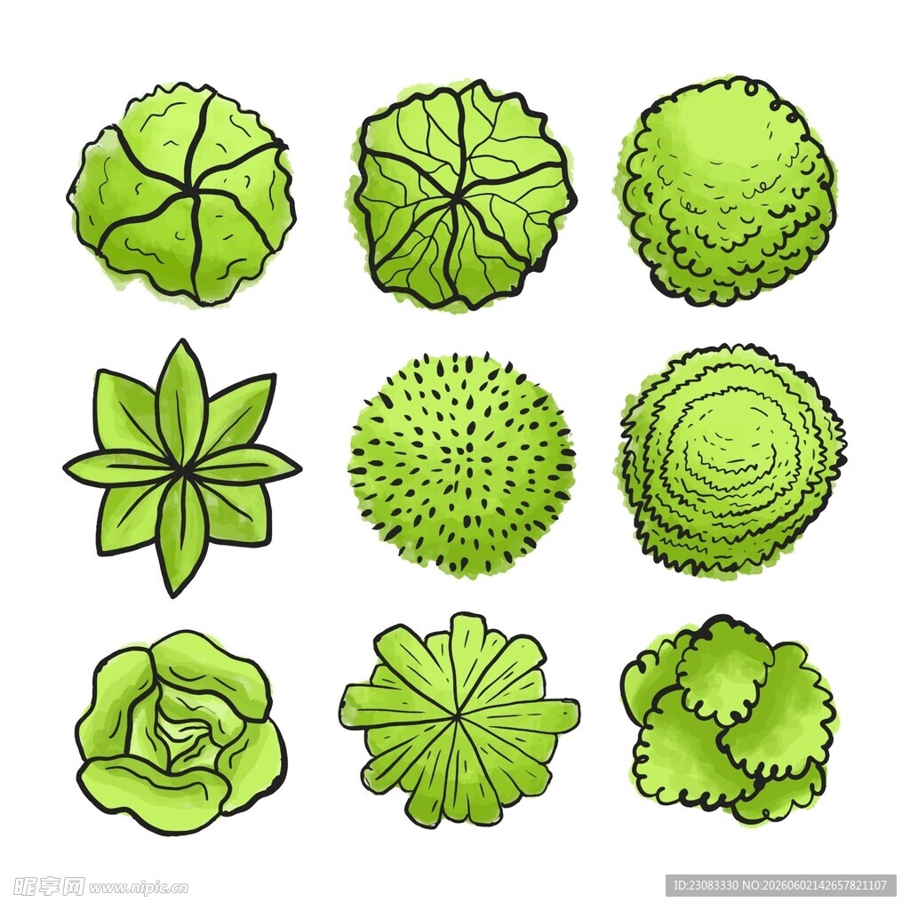 绿植手绘素材