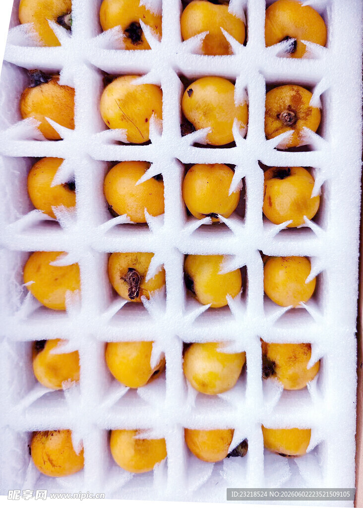 枇杷