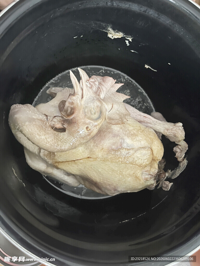 炖整只鸡肉