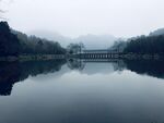 雾中静谧湖面与远处桥景