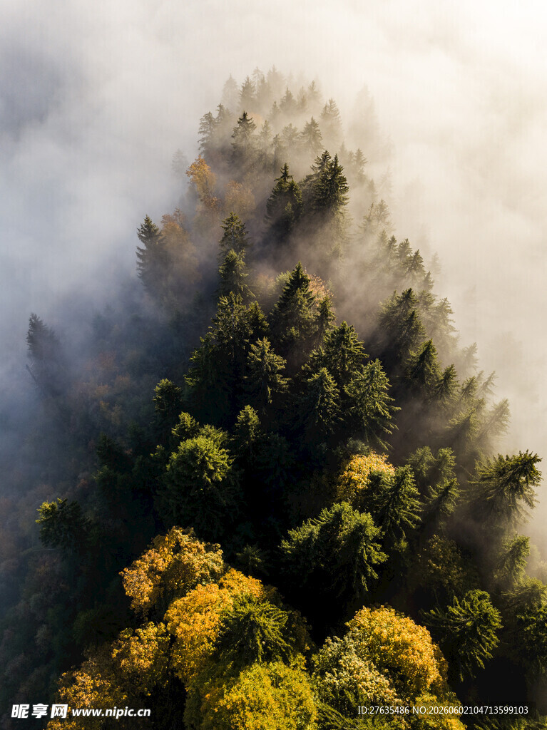 云雾缭绕中的山林美景