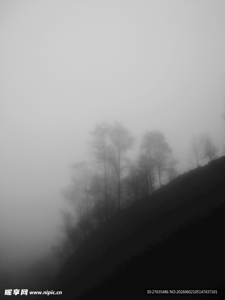 雾中朦胧山林景象
