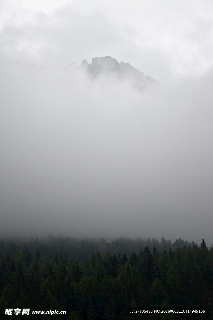 云雾缭绕中的山林景观