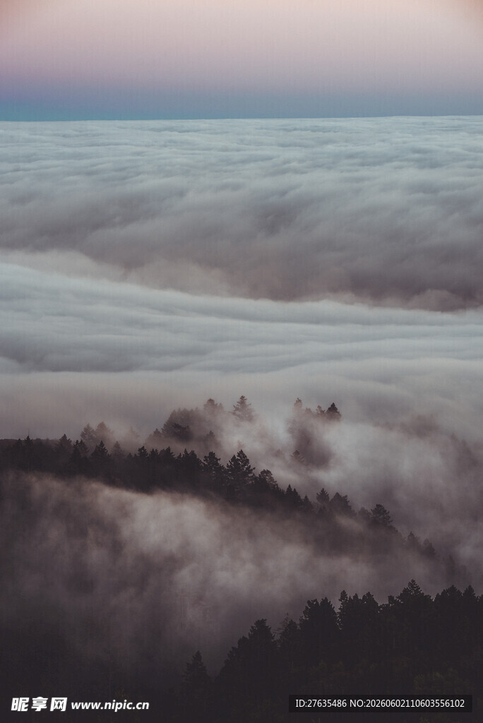 云海中的山林景观