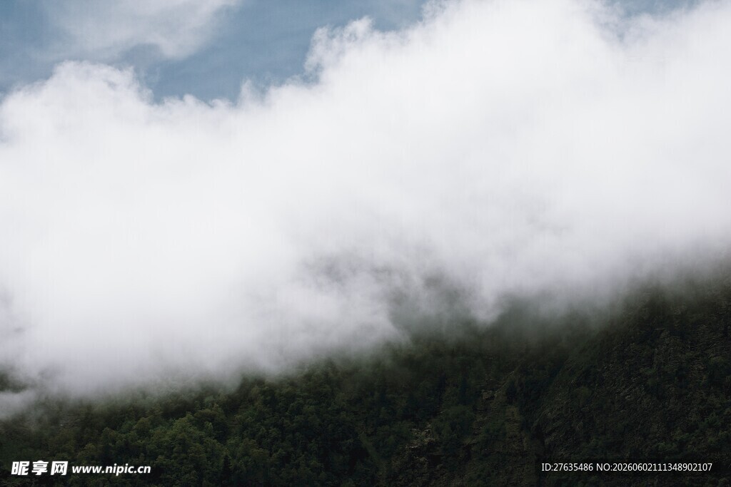 云雾缭绕山林美景