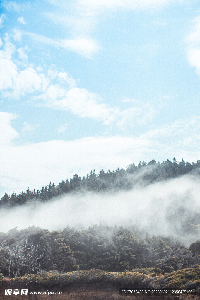 山间晨雾缭绕的美丽景致