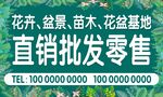 花卉盆景直销批发零售