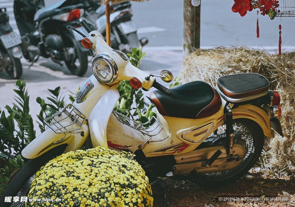 复古小摩托静置于绿植旁