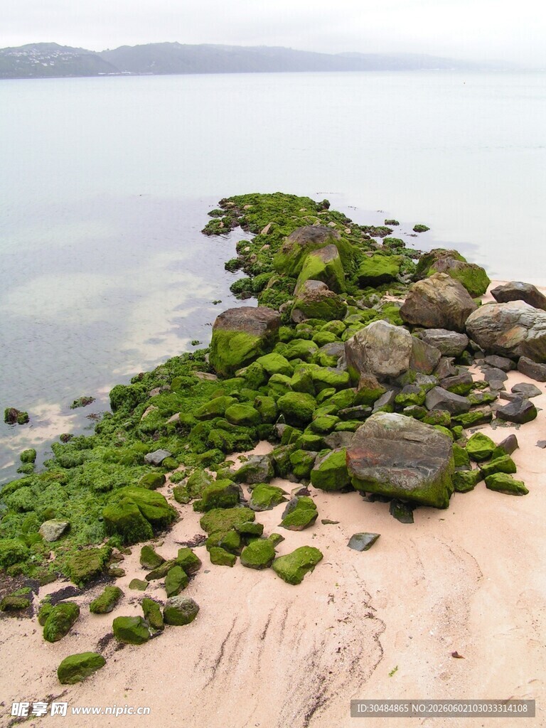 海岸边布满青苔的岩石景观