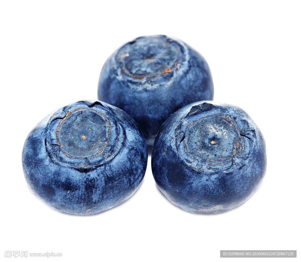 三颗饱满蓝莓