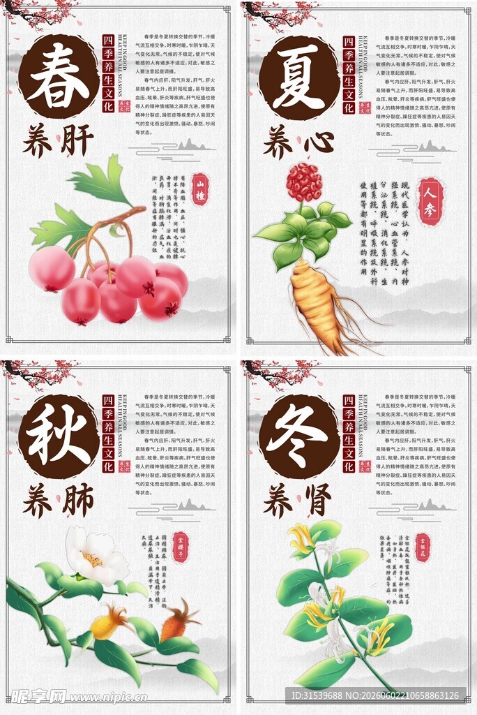 春养肝春夏秋冬四季养生中医海报