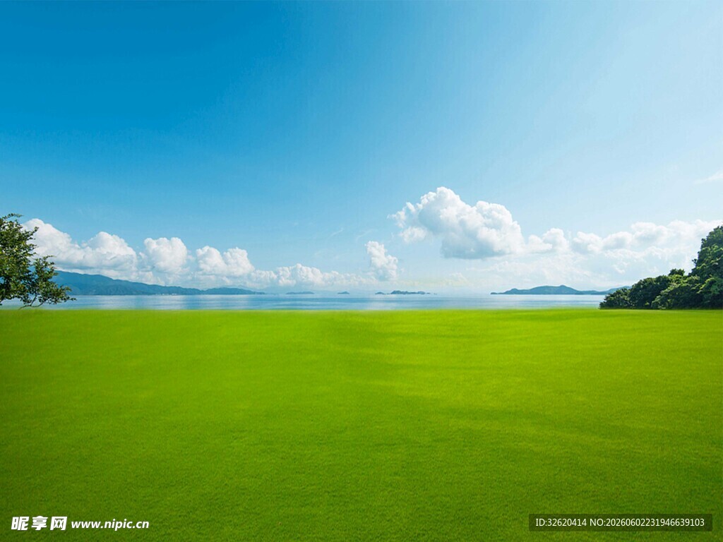 广袤绿草地与蓝天美景