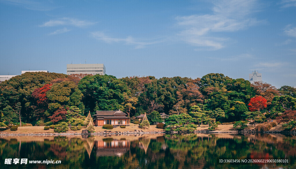 湖畔秋景红叶绿树相映