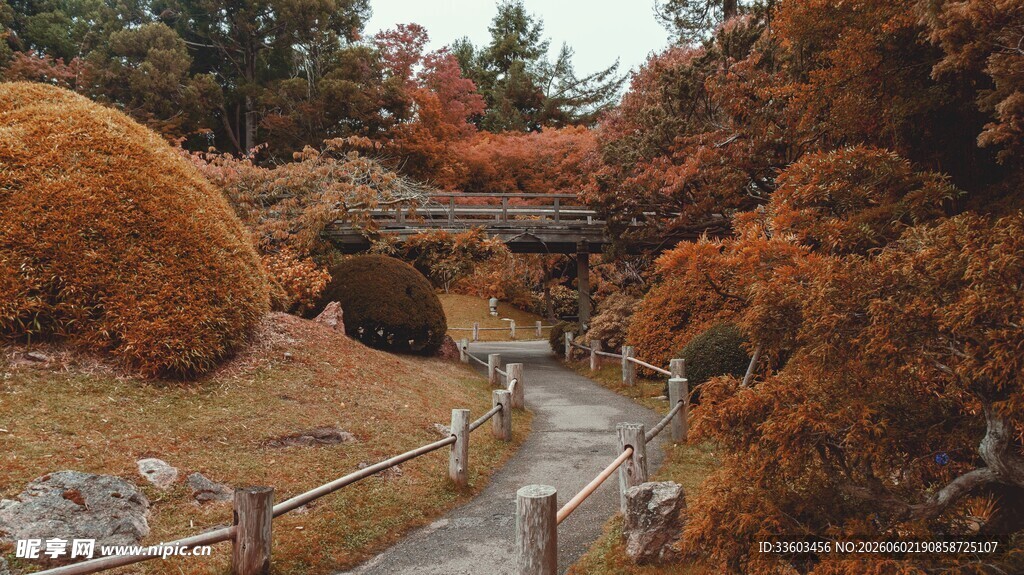 秋日山林中的蜿蜒小径