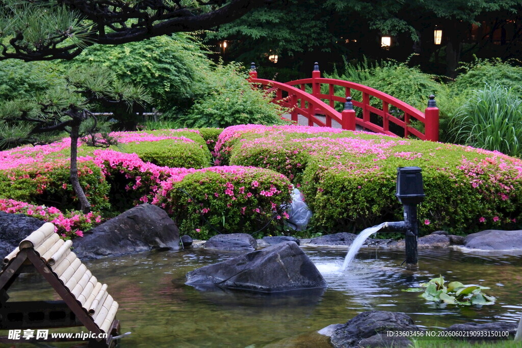 日式花园景观中的流水小桥