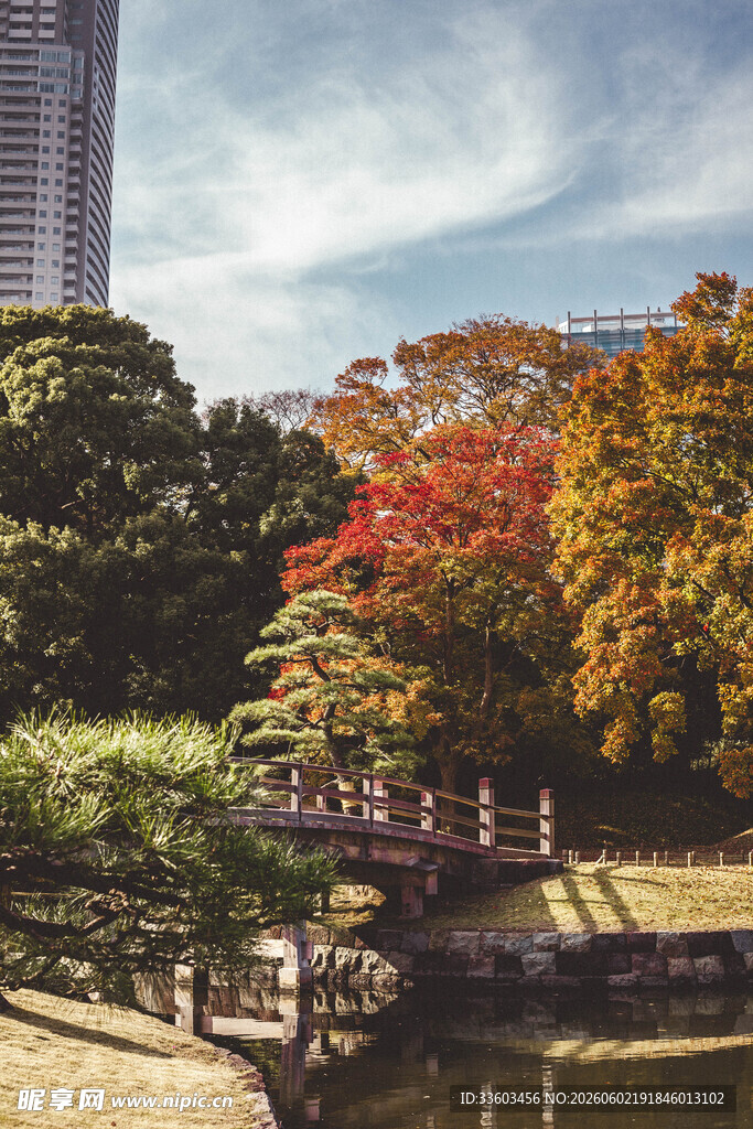 秋日公园美景