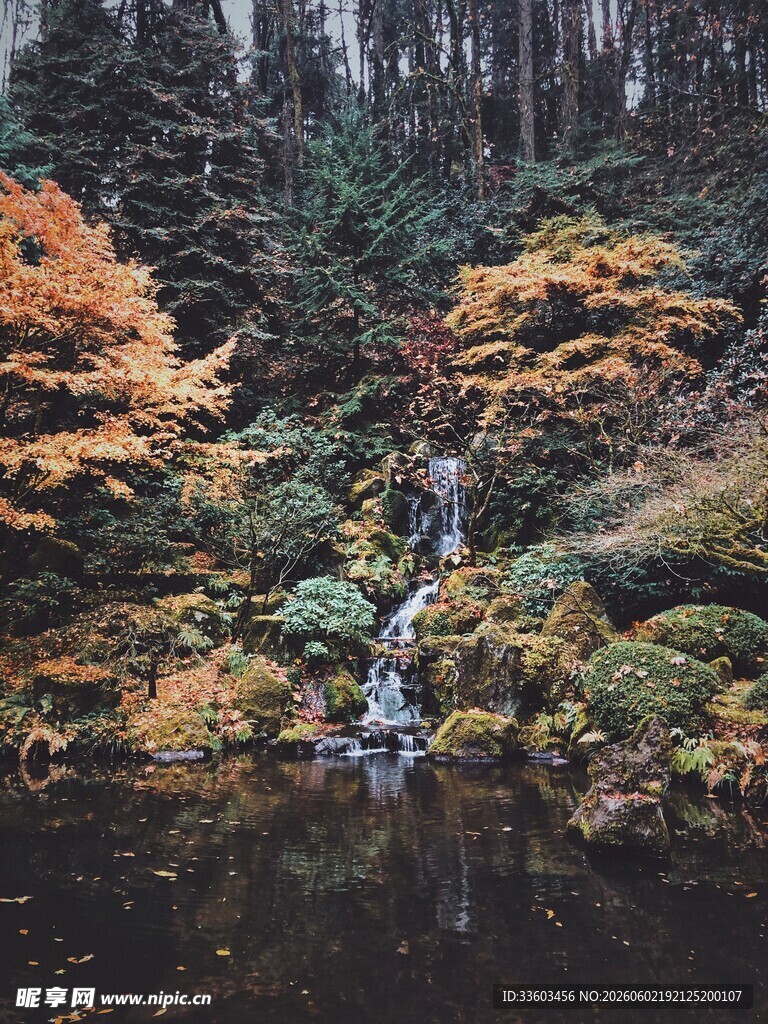 秋日山林中的静谧小瀑布