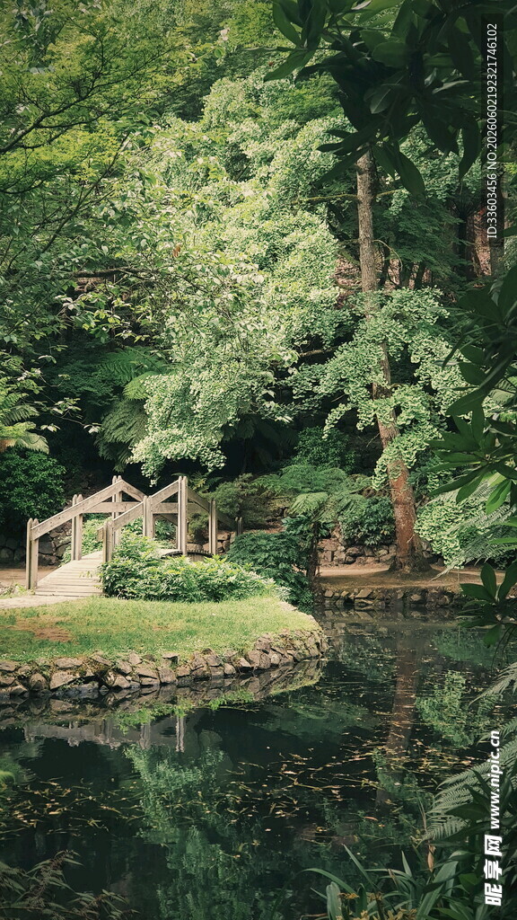 湖畔木桥绿意盎然景致