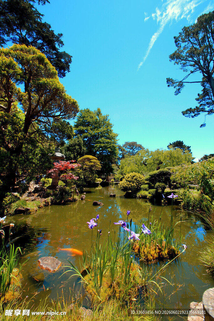 日式园林池塘美景