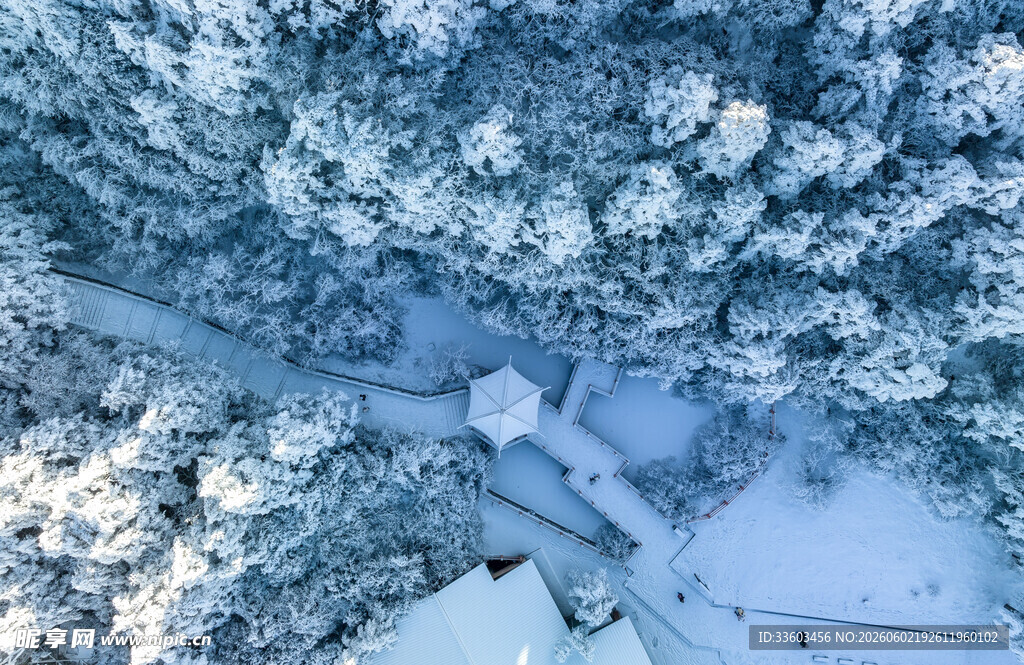 冬日雪景中的静谧林间小道