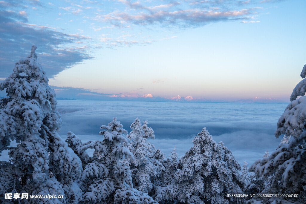 雪覆山林间的壮丽云海景观