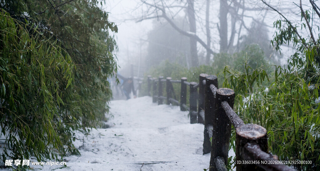 雪后林间小道静谧美景