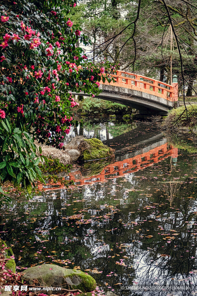 中式园林拱桥与繁花水景