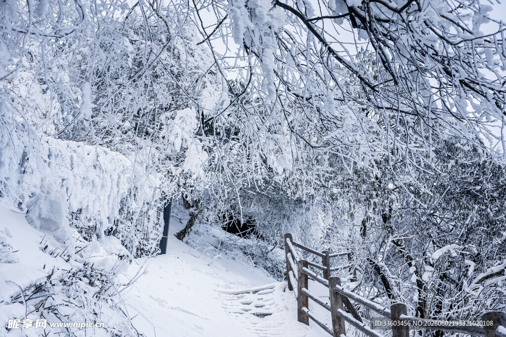 雪覆山林间的静谧小道
