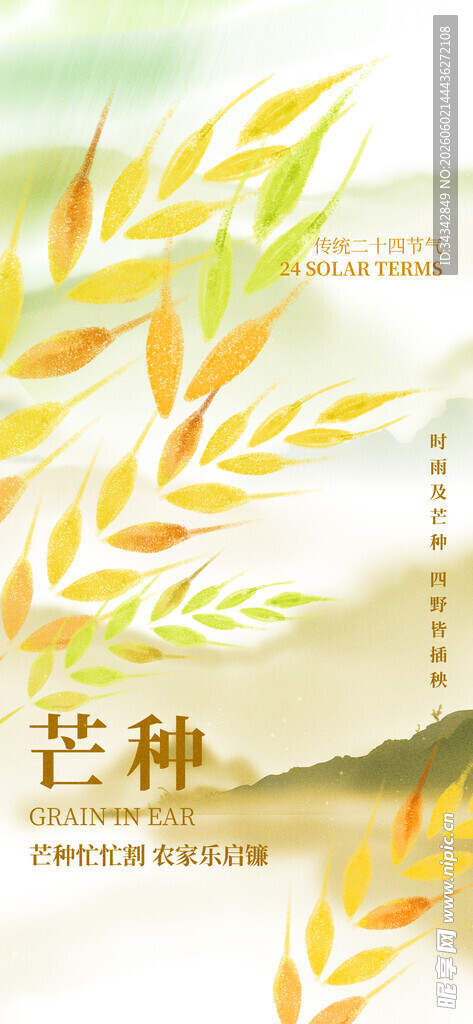 芒种海报