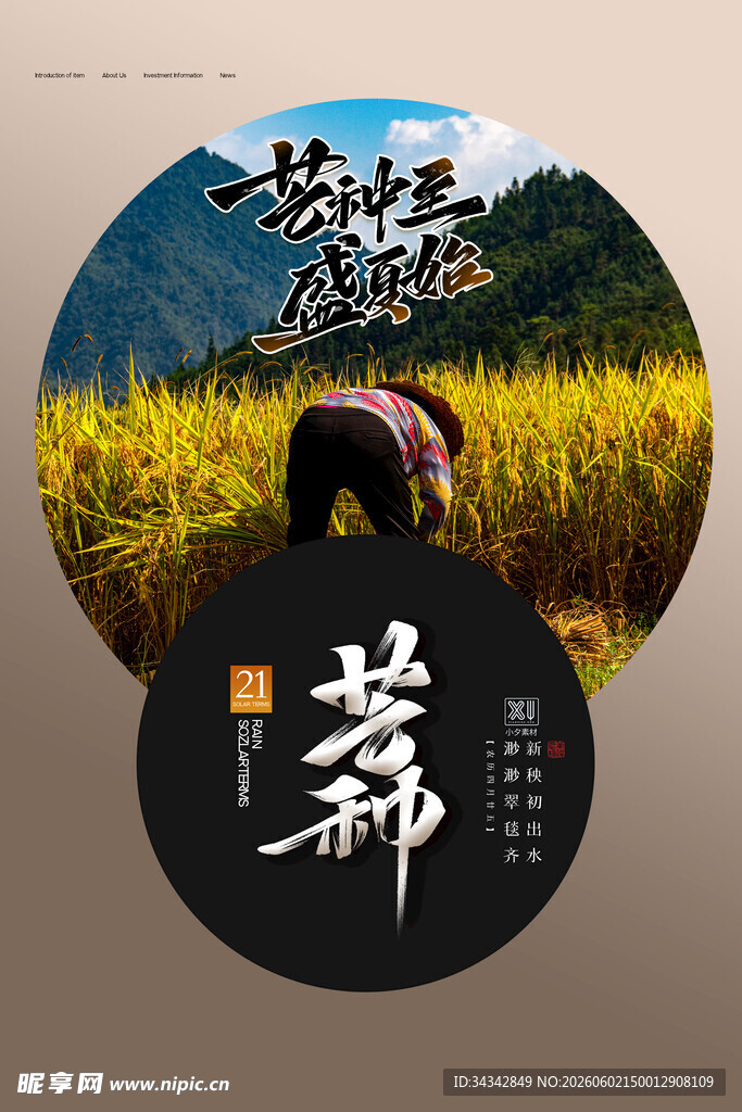 芒种海报