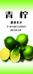 新鲜青柠 清爽时刻