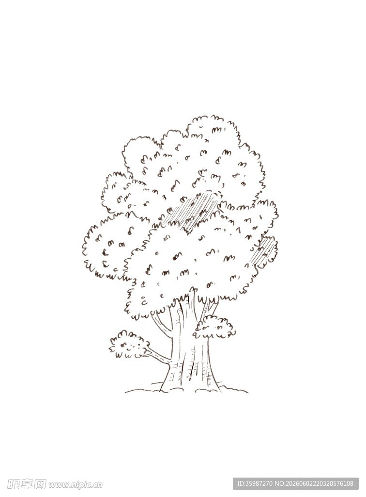 树简笔画