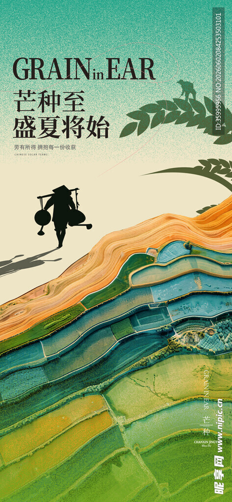芒种海报