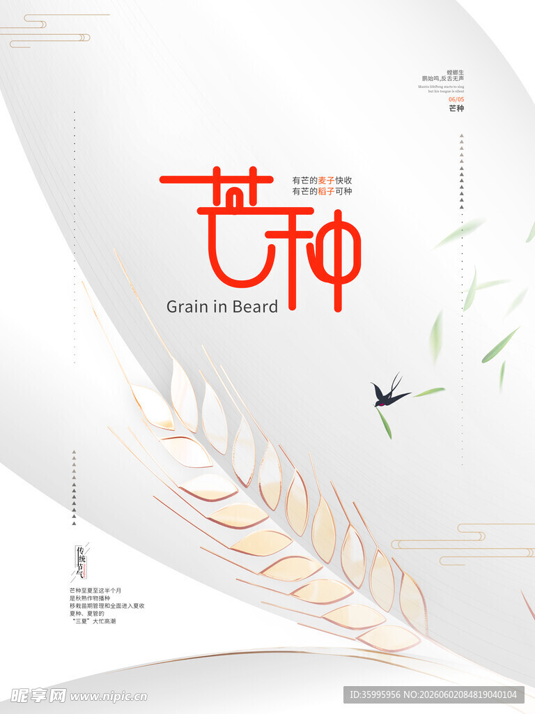 芒种海报