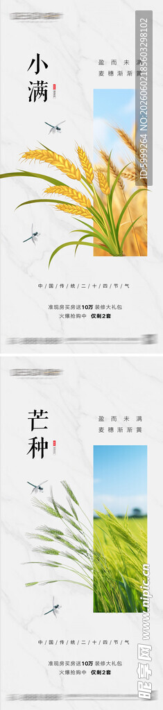 小满芒种节气海报