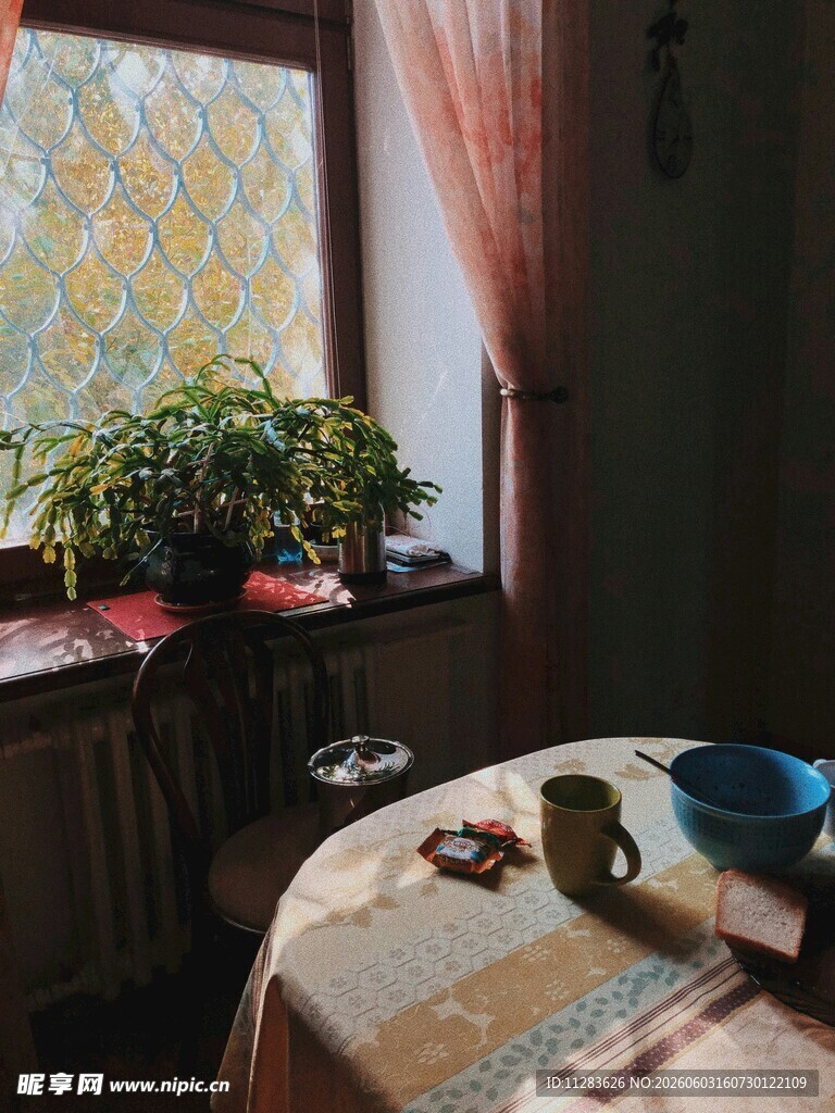 温馨室内窗边