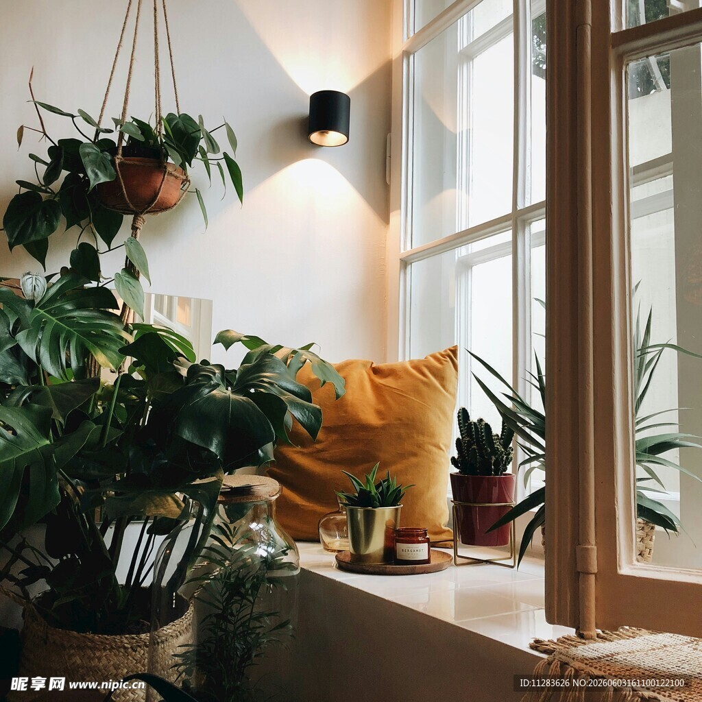 温馨绿植环绕的窗边角落