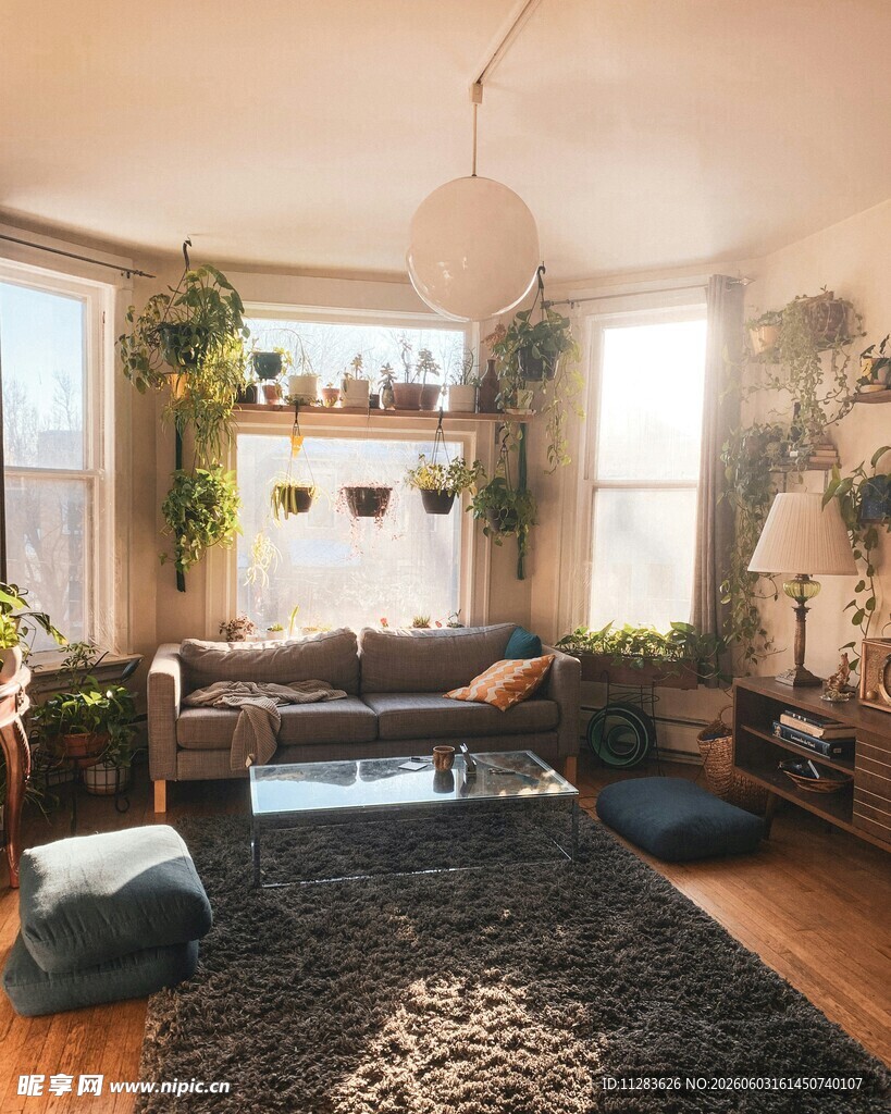 温馨绿植环绕