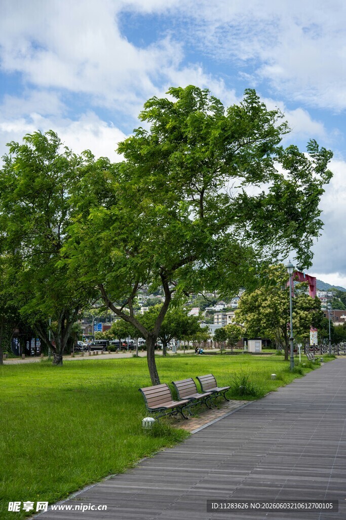 公园绿荫下的宁静步道