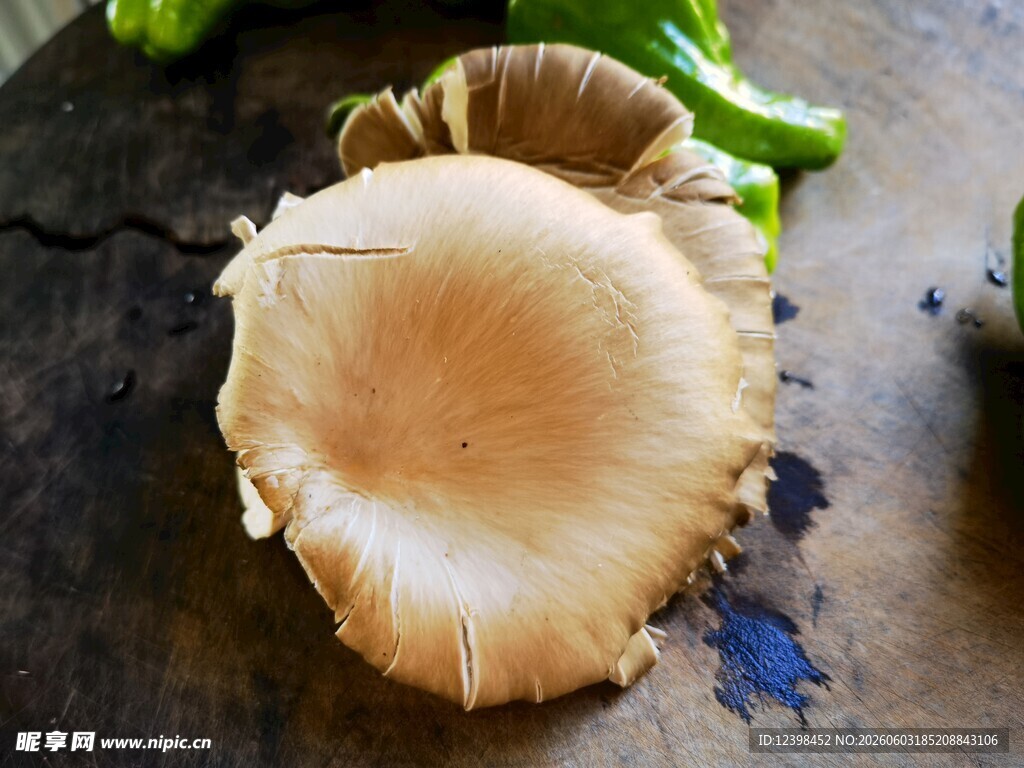 新鲜平菇特写