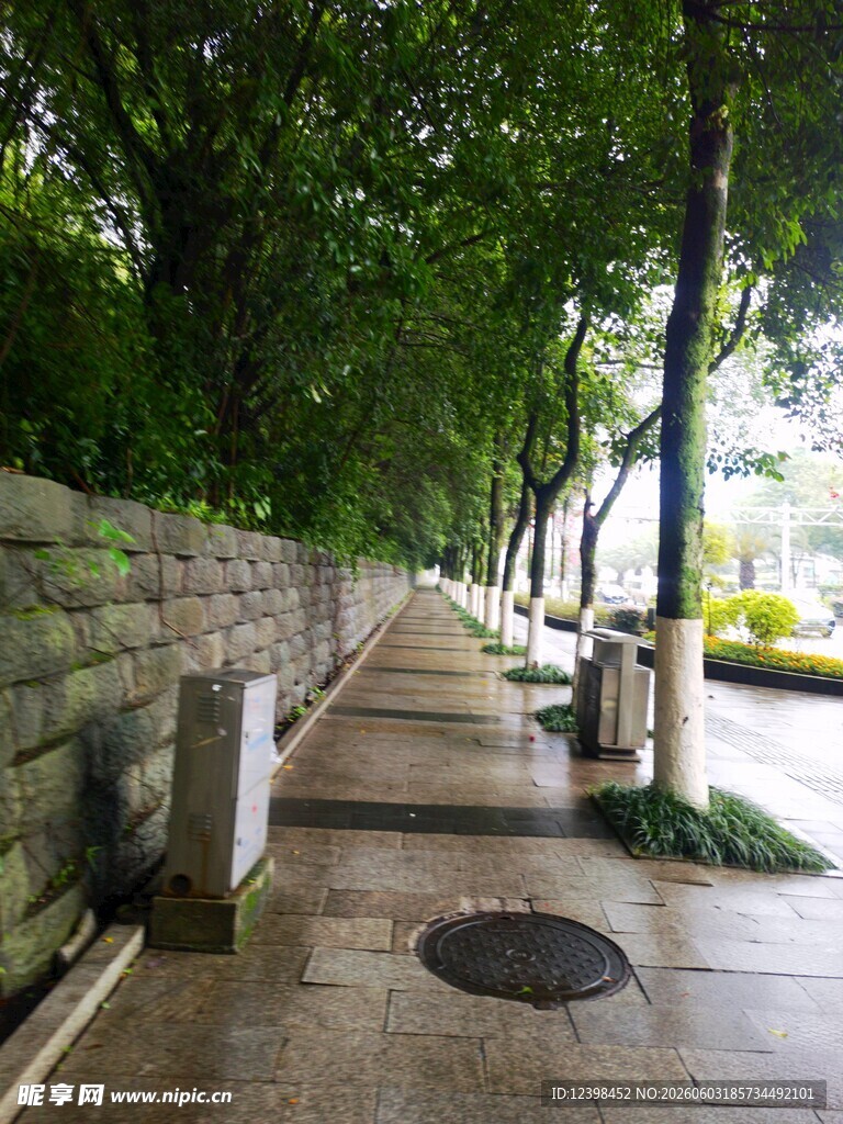 林荫下的静谧步道