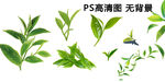 多样绿叶素材 高清无背景