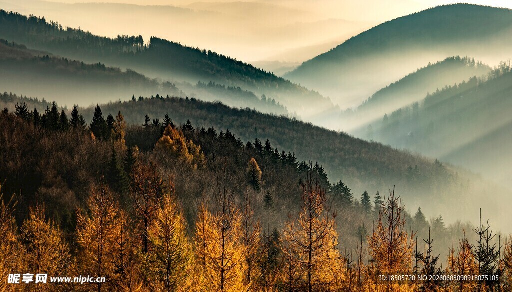秋日山林晨雾美景