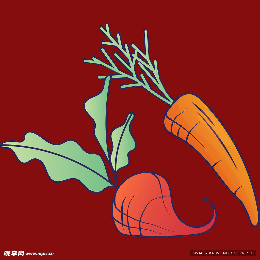 手绘胡萝卜与萝卜插画