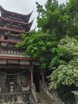古色古香中式楼阁