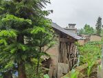 乡村小屋旁的绿植景致