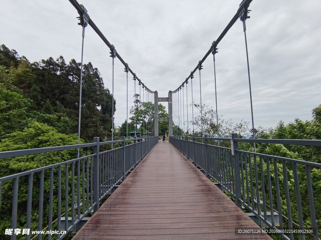 森林中的木质吊桥景观