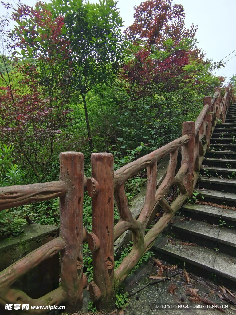 林间木梯自然静谧之景