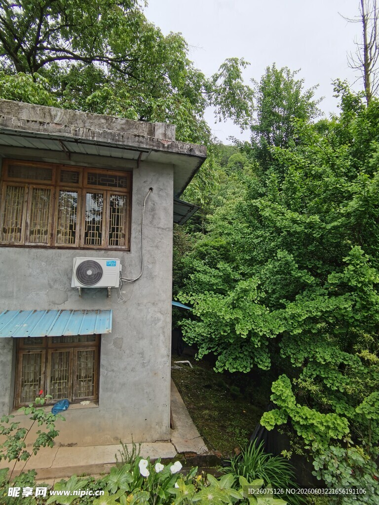 老旧小屋隐于葱郁绿植间